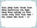 Giải pháp hoàn thiện hoạt động marketing của Ngân hàng Nông nghiệp và Phát triển nông thôn Việt Nam – Chi nhánh Bắc Ninh - 11