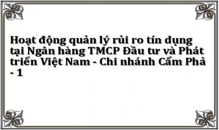 Hoạt động quản lý rủi ro tín dụng tại Ngân hàng TMCP Đầu tư và Phát triển Việt Nam - Chi nhánh Cẩm Phả