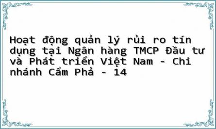 Hoạt động quản lý rủi ro tín dụng tại Ngân hàng TMCP Đầu tư và Phát triển Việt Nam - Chi nhánh Cẩm Phả - 14