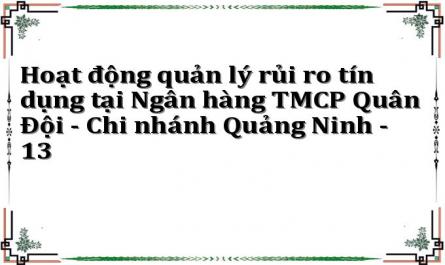 Hoạt động quản lý rủi ro tín dụng tại Ngân hàng TMCP Quân Đội - Chi nhánh Quảng Ninh - 13