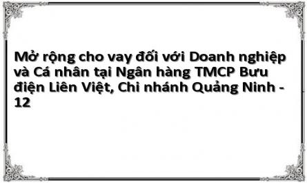 Mở rộng cho vay đối với Doanh nghiệp và Cá nhân tại Ngân hàng TMCP Bưu điện Liên Việt, Chi nhánh Quảng Ninh - 12