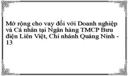 Mở rộng cho vay đối với Doanh nghiệp và Cá nhân tại Ngân hàng TMCP Bưu điện Liên Việt, Chi nhánh Quảng Ninh - 13