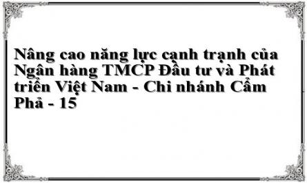 Nâng cao năng lực cạnh trạnh của Ngân hàng TMCP Đầu tư và Phát triển Việt Nam - Chi nhánh Cẩm Phả - 15