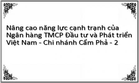 Nâng cao năng lực cạnh trạnh của Ngân hàng TMCP Đầu tư và Phát triển Việt Nam - Chi nhánh Cẩm Phả - 2