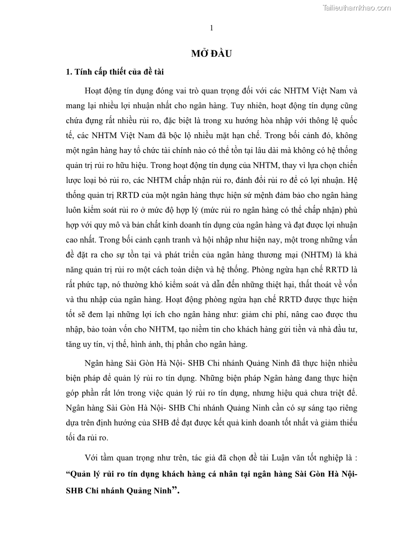 Luận văn thạc sĩ kinh doanh thương mại Quản lý rủi ro tín dụng khách hàng cá nhân tại Ngân hàng Sài gòn Hà Nội- SHB Chi nhánh Quảng Ninh - 1 Trang 12
