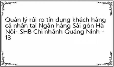 Quản lý rủi ro tín dụng khách hàng cá nhân tại Ngân hàng Sài gòn Hà Nội- SHB Chi nhánh Quảng Ninh - 13