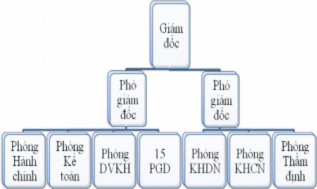 Lịch Sử Hình Thành Và Phát Triển Của Shb Chi Nhánh Quảng Ninh