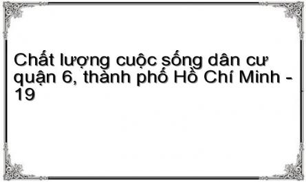 Chất lượng cuộc sống dân cư quận 6, thành phố Hồ Chí Minh - 19