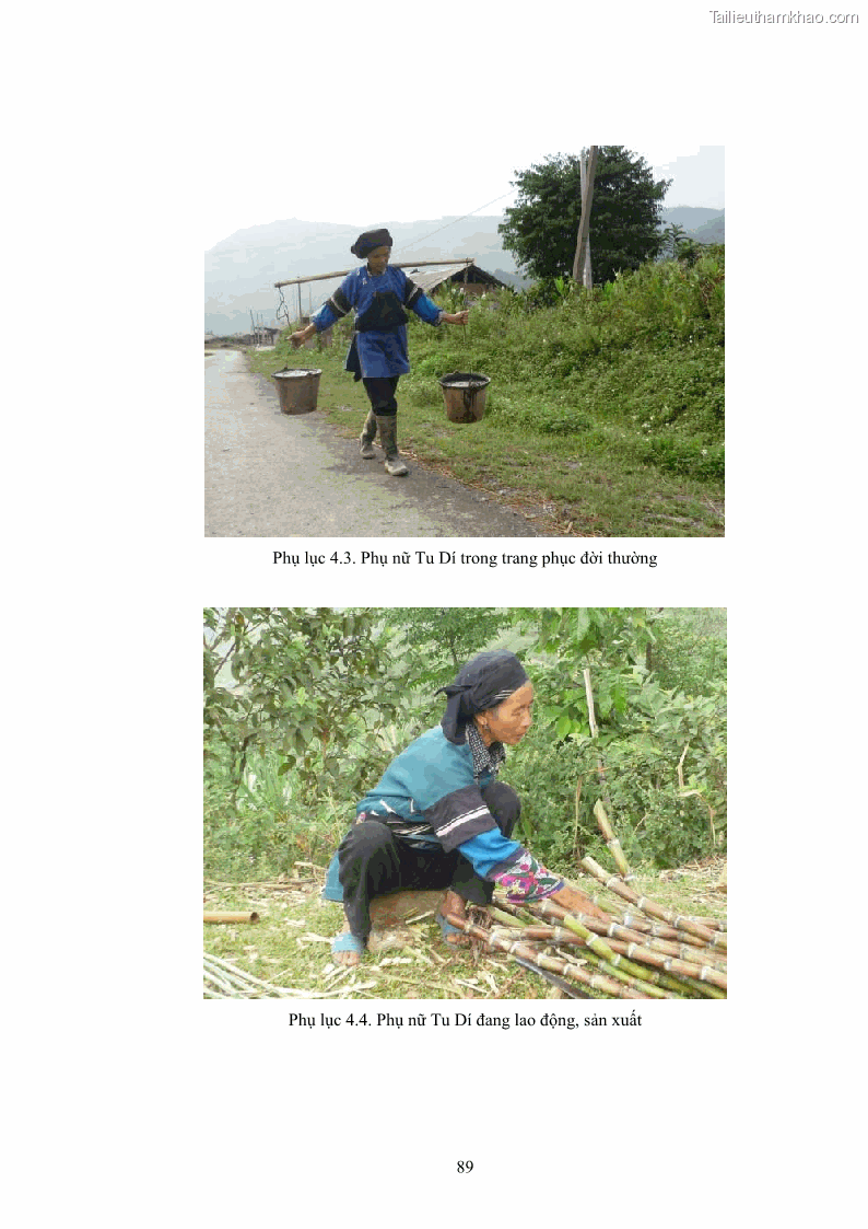 Luận văn thạc sĩ dân tộc học Nghi lễ hôn nhân của người Tu Dí ở xã Thanh Bình, huyện Mường Khương, tỉnh Lào Cai - 8 Trang 96