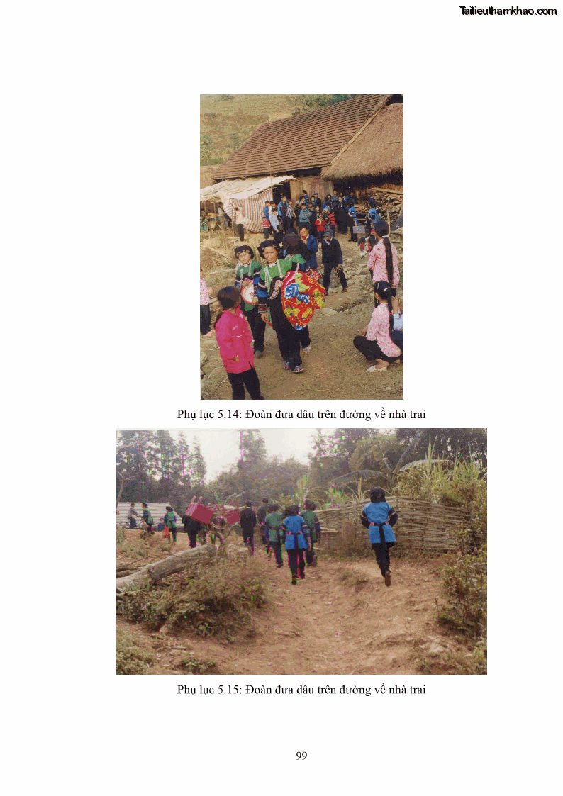 Luận văn thạc sĩ dân tộc học Nghi lễ hôn nhân của người Tu Dí ở xã Thanh Bình, huyện Mường Khương, tỉnh Lào Cai - 9 Trang 106