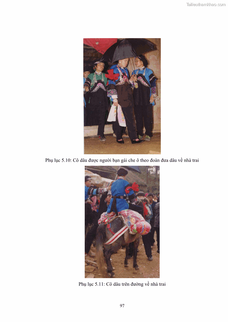 Luận văn thạc sĩ dân tộc học Nghi lễ hôn nhân của người Tu Dí ở xã Thanh Bình, huyện Mường Khương, tỉnh Lào Cai - 9 Trang 104