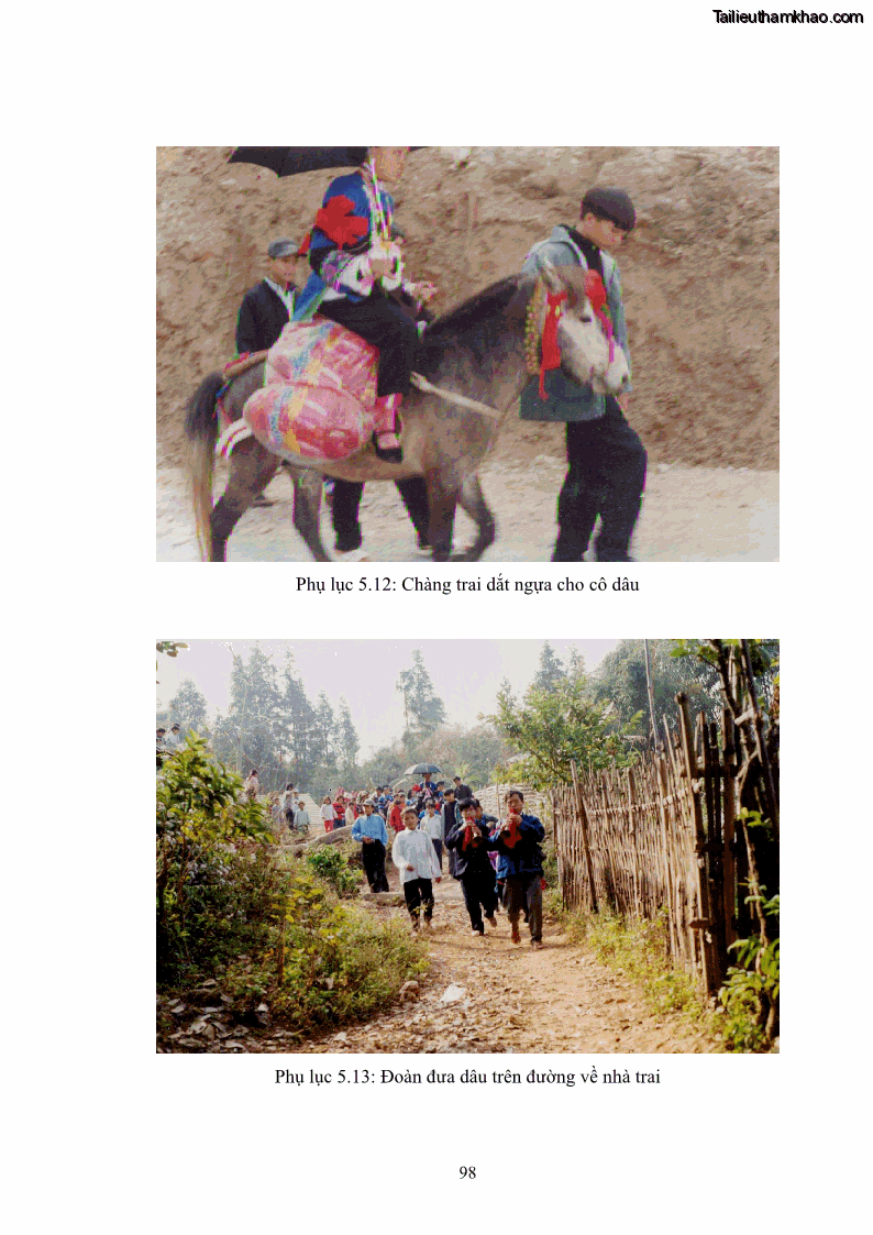 Luận văn thạc sĩ dân tộc học Nghi lễ hôn nhân của người Tu Dí ở xã Thanh Bình, huyện Mường Khương, tỉnh Lào Cai - 9 Trang 105