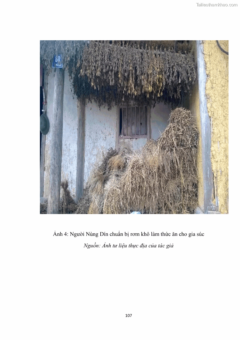 Luận văn thạc sĩ dân tộc học Tri thức địa phương về giáo dục trẻ em của người Nùng Dín ở thôn Tùng Lâu, Xã Tung Chung Phố, Huyện Mường Khương, tỉnh Lào Cai - 10 Trang 113