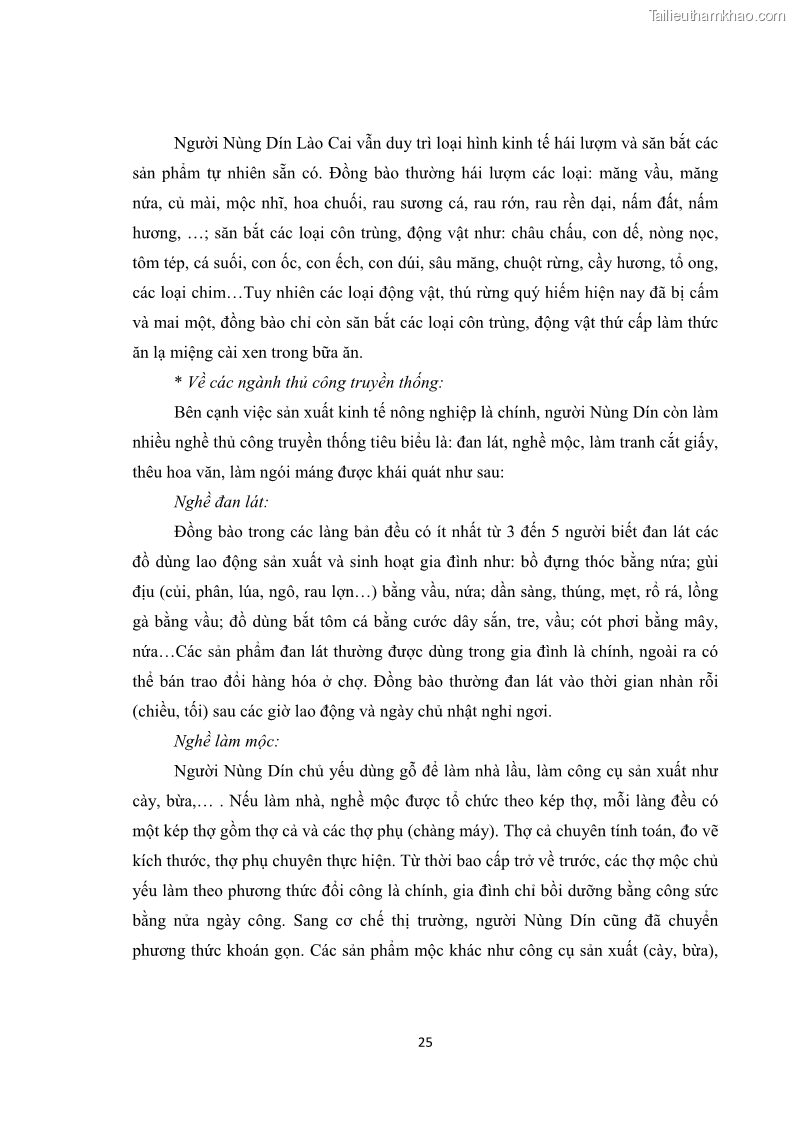 Luận văn thạc sĩ dân tộc học Tri thức địa phương về giáo dục trẻ em của người Nùng Dín ở thôn Tùng Lâu, Xã Tung Chung Phố, Huyện Mường Khương, tỉnh Lào Cai - 3 Trang 31