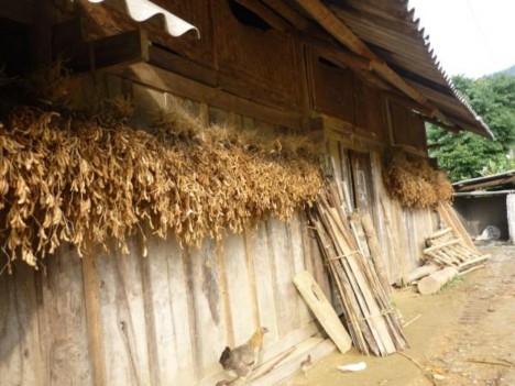 Phụ lục 4 1 Mặt trước nhà ở của người Tu Dí Phụ lục 4 2 Nhà ở của 2