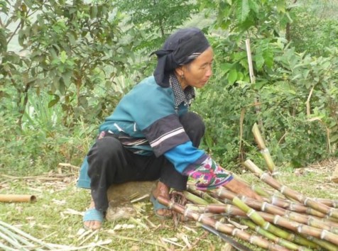 Phụ lục 4 4 Phụ nữ Tu Dí đang lao động sản xuất 5