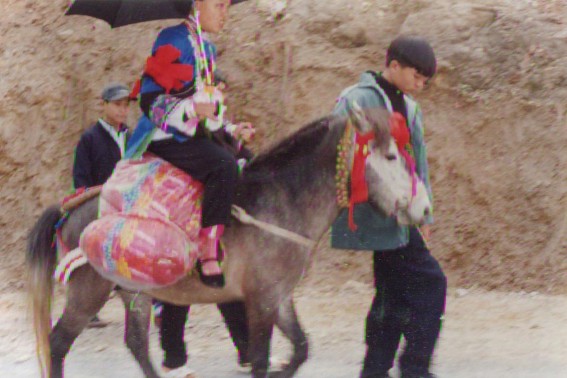 Phụ lục 5 12 Chàng trai dắt ngựa cho cô dâu Phụ lục 5 13 Đoàn đưa dâu trên 1