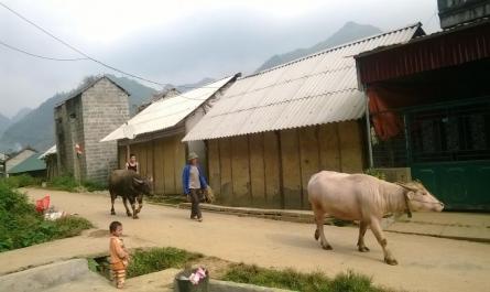Tri thức địa phương về giáo dục trẻ em của người Nùng Dín ở thôn Tùng Lâu, Xã Tung Chung Phố, Huyện Mường Khương, tỉnh Lào Cai - 15