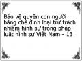 Bảo vệ quyền con người bằng chế định loại trừ trách nhiệm hình sự trong pháp luật hình sự Việt Nam - 13