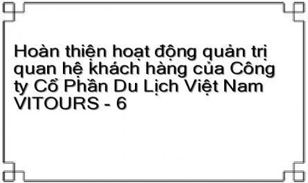 Hoàn thiện hoạt động quản trị quan hệ khách hàng của Công ty Cổ Phần Du Lịch Việt Nam VITOURS - 6