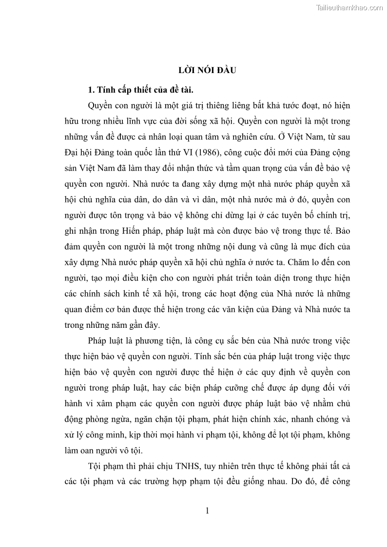 Luận văn thạc sĩ luật học Bảo vệ quyền con người bằng chế định loại trừ trách nhiệm hình sự trong pháp luật hình sự Việt Nam - 1 Trang 8
