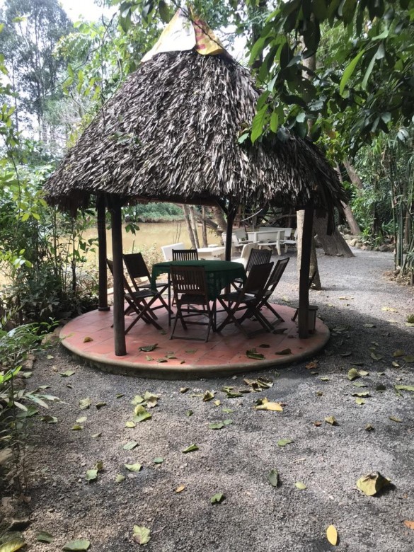 Hình PL11 Chòi lá của khu DLST vườn làng bưởi Năm Huệ Nguồn tác giả tự 3