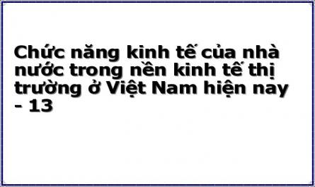 Chức năng kinh tế của nhà nước trong nền kinh tế thị trường ở Việt Nam hiện nay - 13