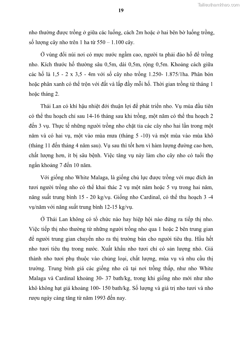 Luận văn thạc sĩ địa lý học Tổ chức lãnh thổ nông - Công nghiệp trồng và chế biến nho ở Khánh Hòa, Ninh Thuận, Bình Thuận - 3 Trang 29