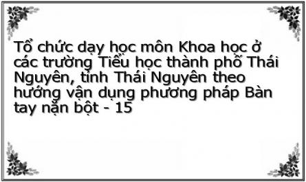 Tổ chức dạy học môn Khoa học ở các trường Tiểu học thành phố Thái Nguyên, tỉnh Thái Nguyên theo hướng vận dụng phương pháp Bàn tay nặn bột - 15