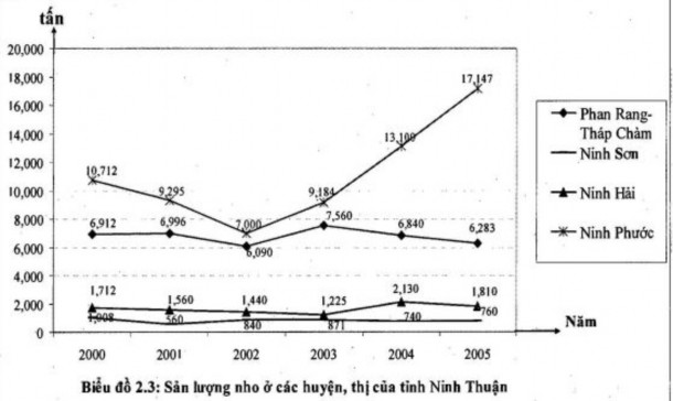 Qua biểu đồ 2 3 từ năm 2000 2002 sản lượng nho Ninh Thuận giảm 4 974 tấn 2