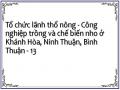 Liên Kết Giữa Trồng Và Chế Biến Nho Ở Các Tỉnh Khảnh Hòa, Ninh Thuân, Bình Thuận‌