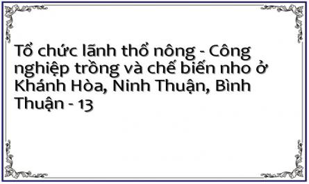 Liên Kết Giữa Trồng Và Chế Biến Nho Ở Các Tỉnh Khảnh Hòa, Ninh Thuân, Bình Thuận‌