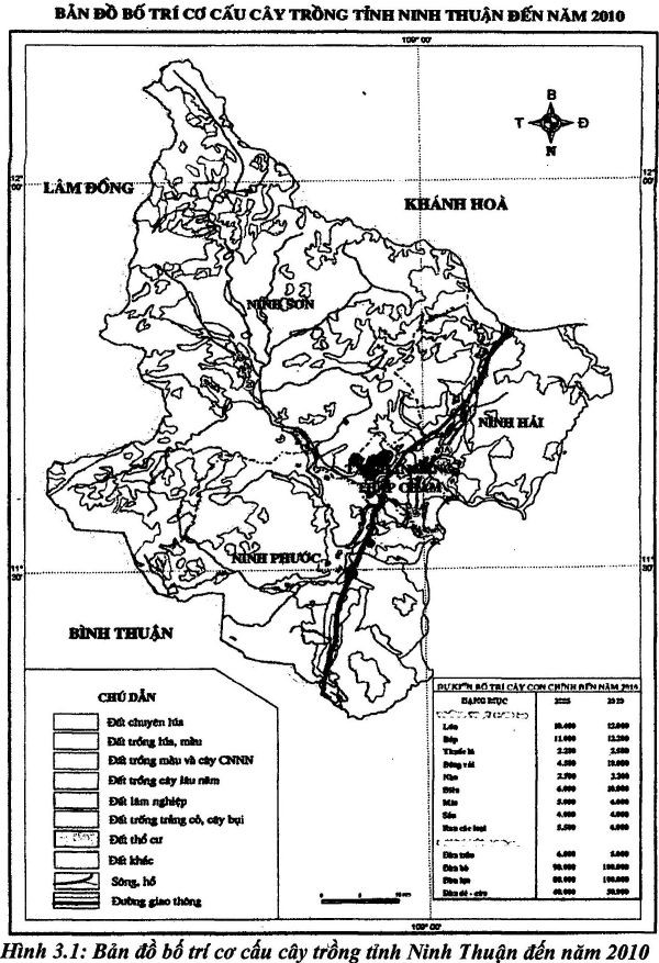 Hiện nay tỉnh Bình Thuận đang kêu gọi dự án đầu tư trồng nho và chế biến 1