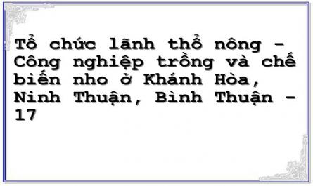 Chi Cục Bảo Vệ Thực Vật Ninh Thuận (1997), Phòng Trừ Tổng Hợp Sâu Bệnh Hại Nho Ở Ninh Thuận.