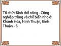 Giá Một Số Loại Nho Ở Thị Trường Tự Do Việt Nam (Tháng 4/2000)