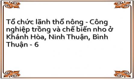 Giá Một Số Loại Nho Ở Thị Trường Tự Do Việt Nam (Tháng 4/2000)