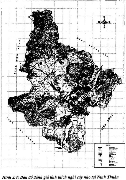 Cây nho chưa khai thác BẢN ĐỒ ĐÁNH GIÁ TÍNH THÍCH NGHI CÂY NHO TẠI NINH THUẬN 3