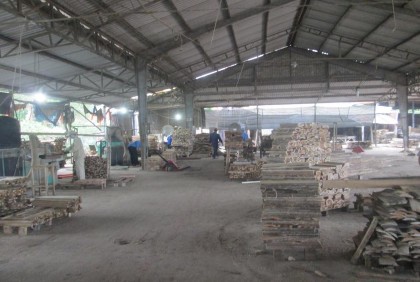 Hình 4 3 Xưởng chế biến gỗ xẻ thuộc Công Ty Cổ Phần Xuất Nhập Khẩu ATS 5