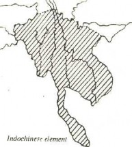 Yếu tố nhiệt đới Đông Nam ¸ Malêzi Yếu tố Đông Dương Nam Trung Hoa Yếu 3