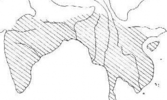 Yếu tố nhiệt đới lục địa châu ¸ Yếu tố Đông ¸ ả nh Thành phần của 4