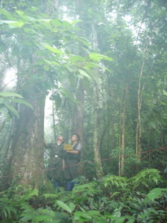 ả nh Đoàn nghiên cứu làm ô tiêu chuẩn 8