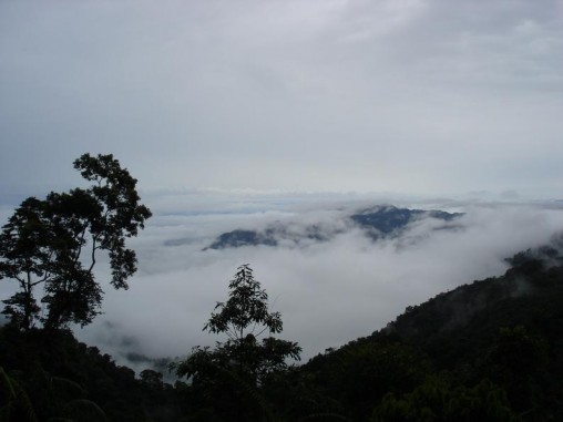 ả nh Đường đi lên đỉnh Chạm Chu ả nh Suối trong khu vực nghiên cứu ¶ nh 1