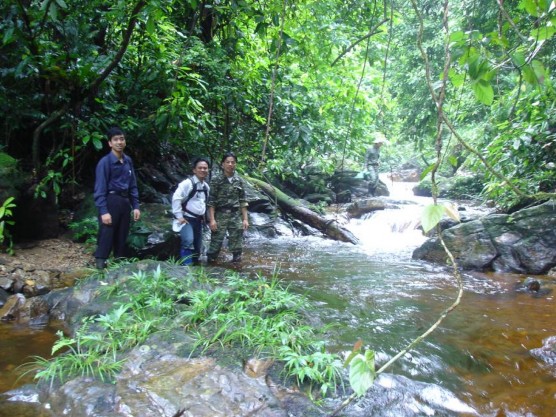 ả nh Suối trong khu vực nghiên cứu ¶ nh Pinus kwangtungensis Chun ex Tsiang ¶ nh 2