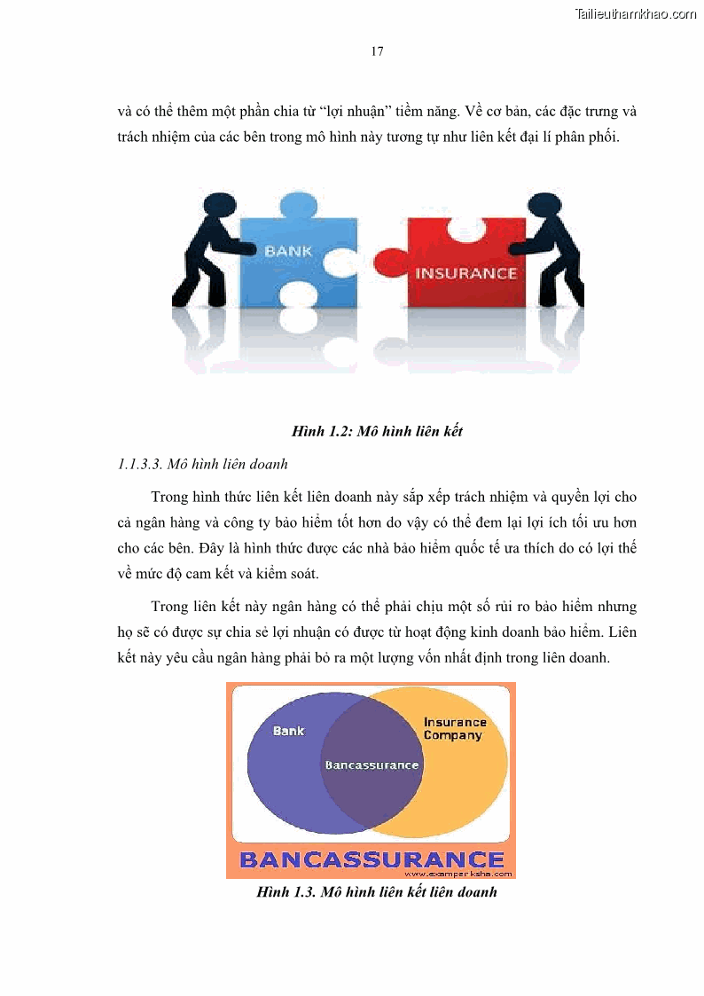 Luận văn thạc sĩ tài chính ngân hàng Phát triển hoạt động liên kết bảo hiểm - ngân hàng Bancassurance tại Ngân hàng TMCP Đại chúng Việt Nam - 3 Trang 30