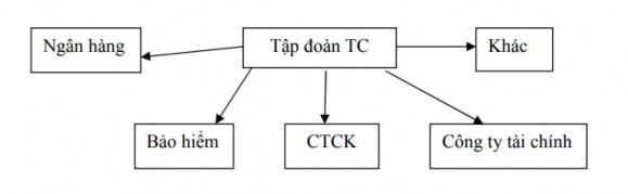 Lượng cổ phần nắm giữ trong liên doanh bảo hiểm 1 1 3 4 Tập đoàn tài chính 4