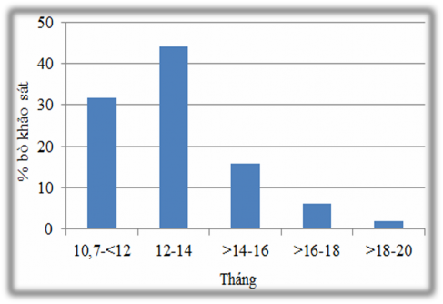 Hình 3 2 Khoảng cách lứa đẻ của bò cái Lai Brahman phối giống đực Brahman 1