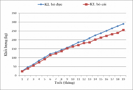 Hình 3 3 Diễn biến khối lượng của tổ hợp bò Brahman × Lai Brahman từ sơ sinh 2