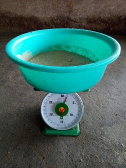 Cân thức ăn trong nông hộ Bò thí nghiệm Vận chuyển bò đến lò mổ Cân các 1