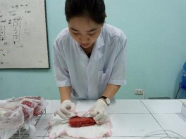 Đo mất nước bảo quản thịt Đo mất nước chế biến thịt Đo độ dai thịt 7