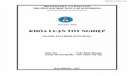 Khóa luận tốt nghiệp tài chính ngân hàng Phân tích tình hình tài chính tại Công ty TNHH Đầu tư Thương mại Hoàng Nam Phát - 1